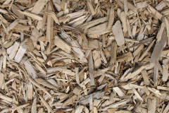 biomass boilers Birchington